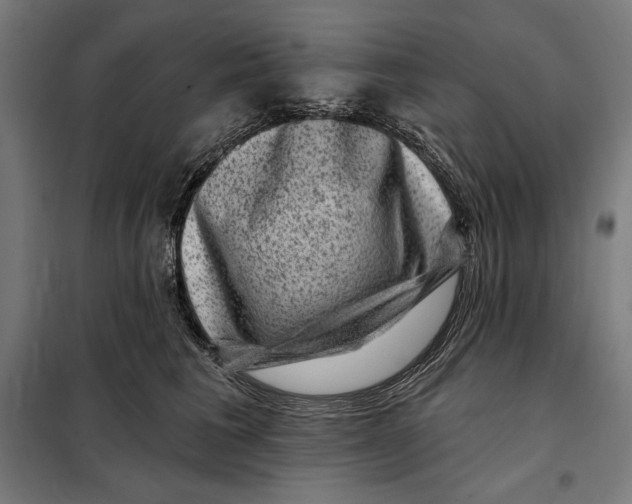 X0000097890613200804041312