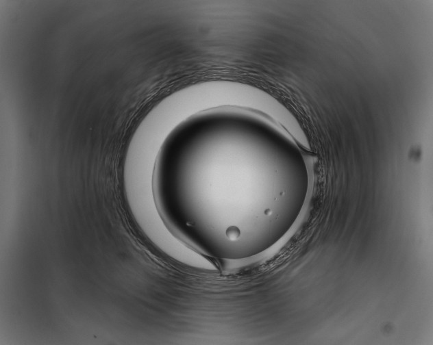 X0000097890614200804041312