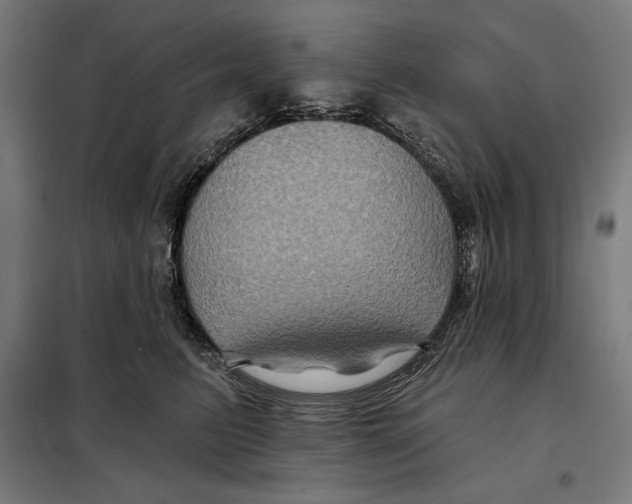 X0000097890615200804041312