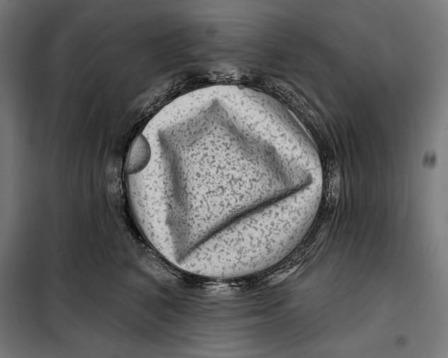 X0000097890616200804041312