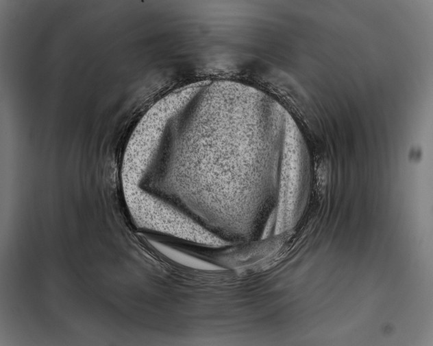 X0000097890617200804041312