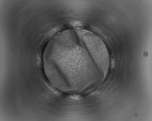 X0000097890618200804041312