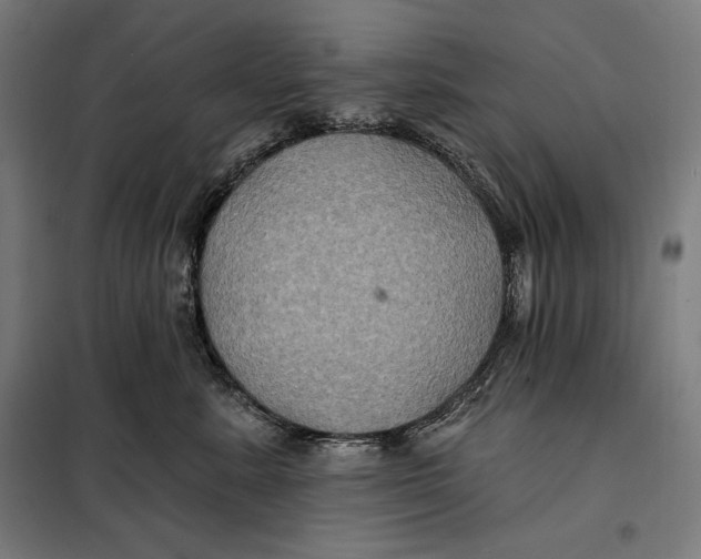 X0000097890619200804041312