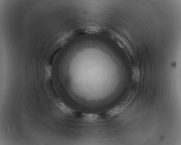 X0000097890621200804041312