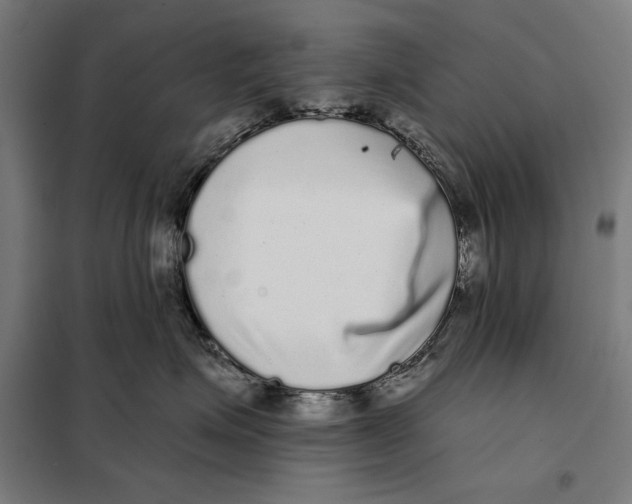 X0000097890623200804041312