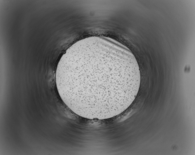 X0000097890624200804041312