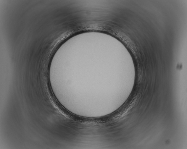 X0000097890625200804041311