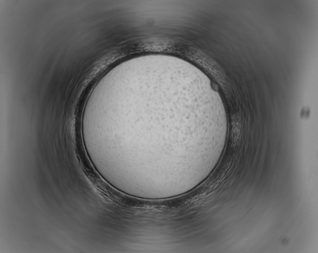 X0000097890626200804041311