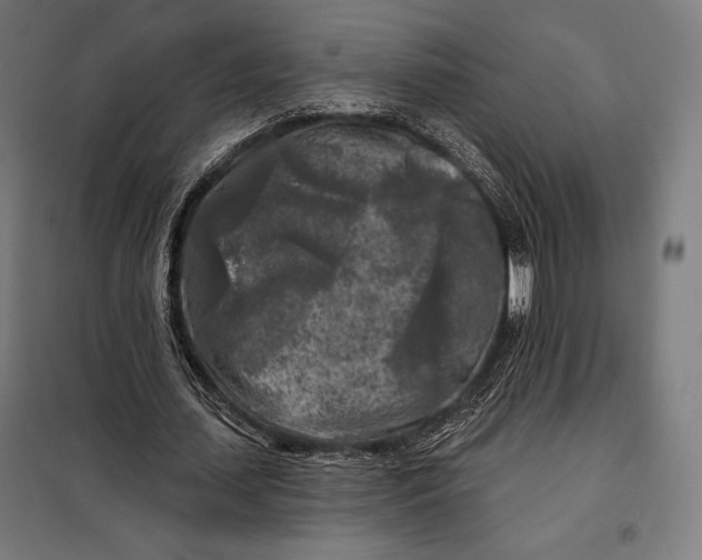 X0000097890627200804041311