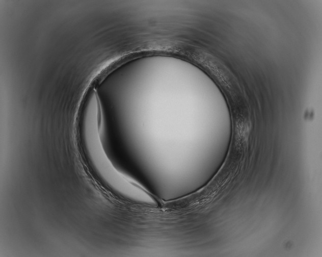 X0000097890628200804041311