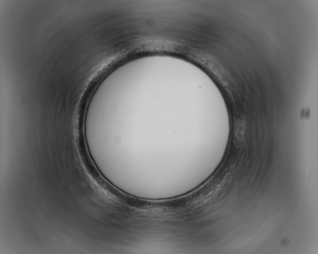 X0000097890629200804041311