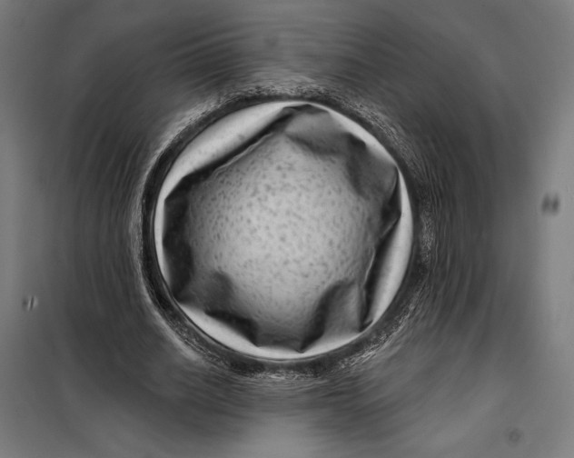 X0000097890630200804041311