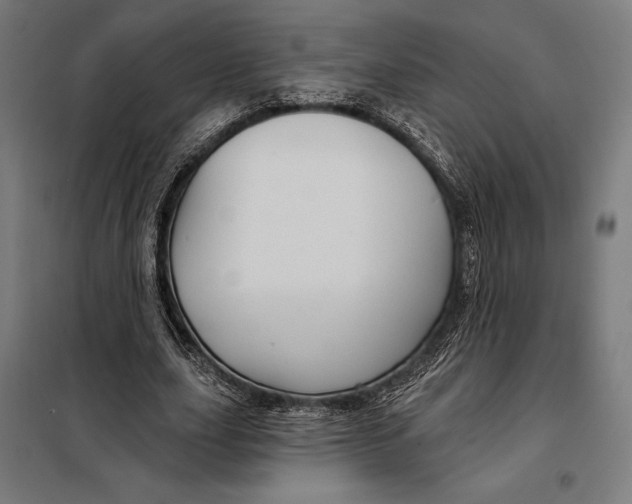 X0000097890631200804041311