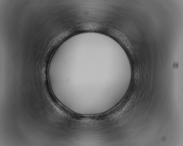 X0000097890633200804041311