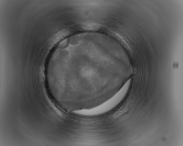 X0000097890634200804041311