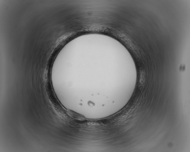 X0000097890636200804041311