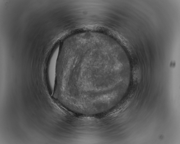 X0000097890637200804041311