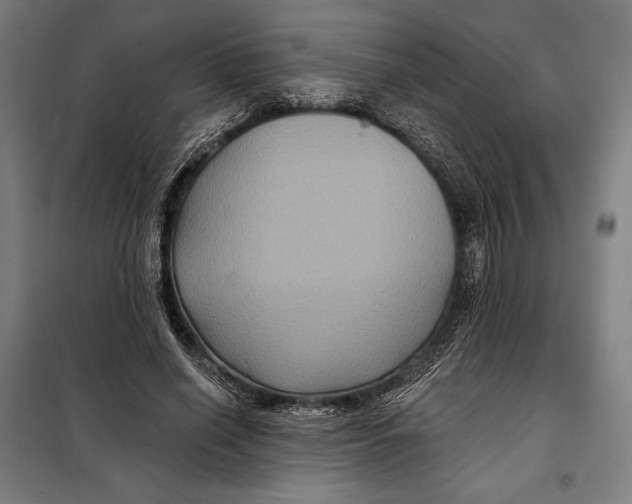 X0000097890638200804041311