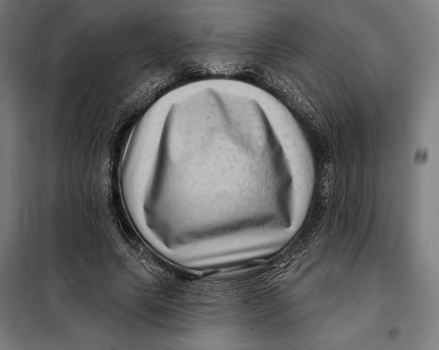 X0000097890639200804041311