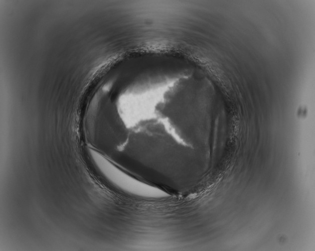 X0000097890640200804041311