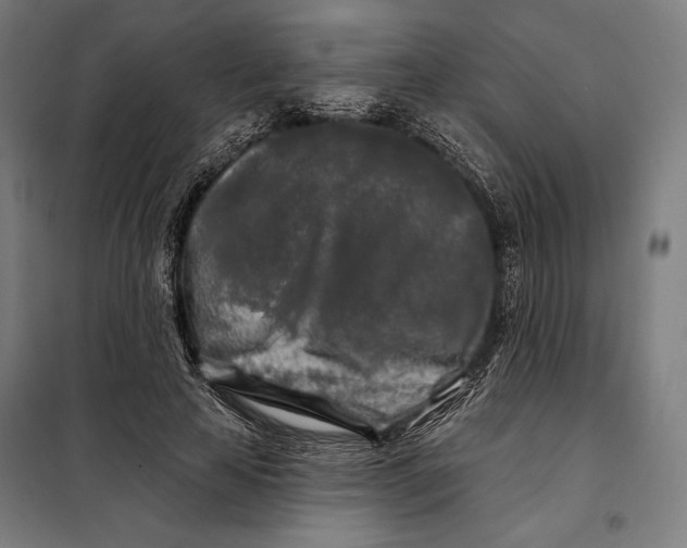 X0000097890641200804041311