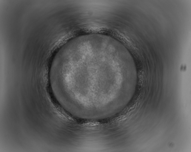 X0000097890642200804041311