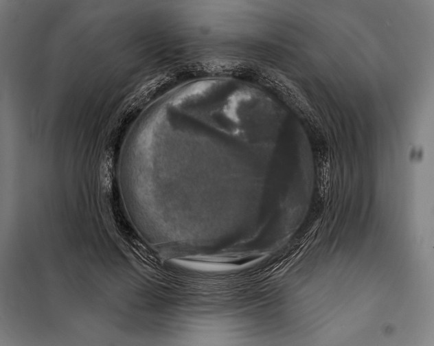 X0000097890644200804041311