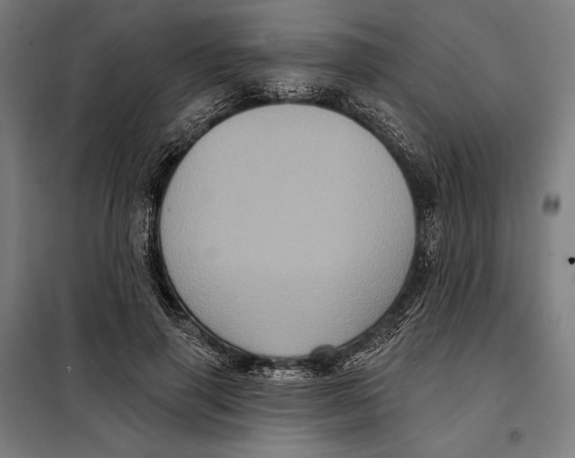 X0000097890645200804041311