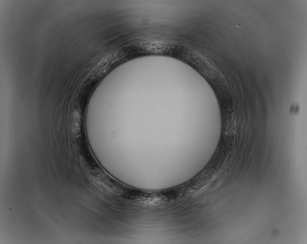 X0000097890646200804041311