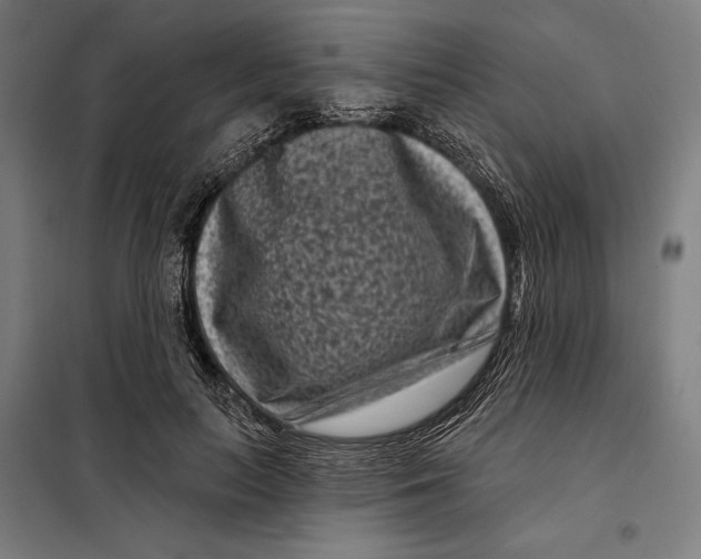 X0000097890647200804041311