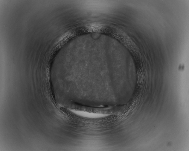 X0000097890648200804041311