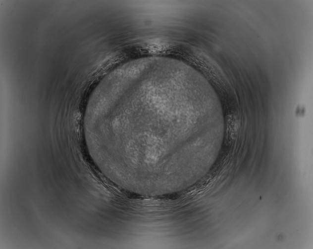 X0000097890650200804041311