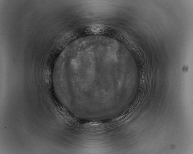 X0000097890651200804041311