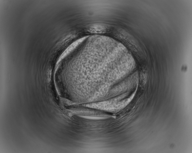 X0000097890652200804041311