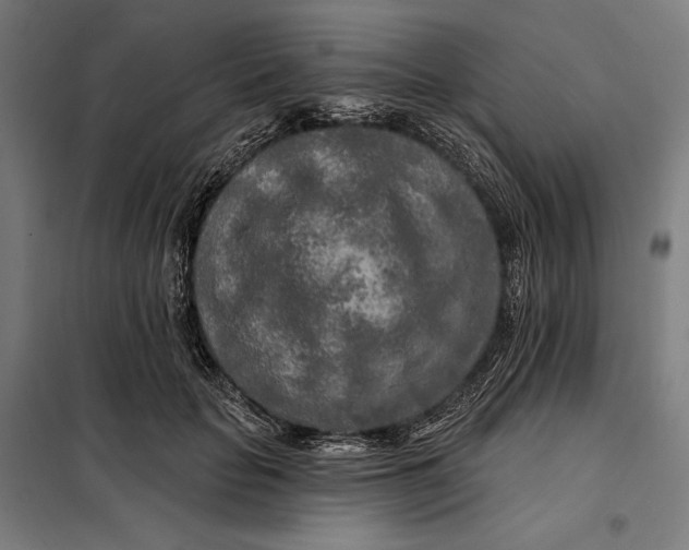 X0000097890653200804041311