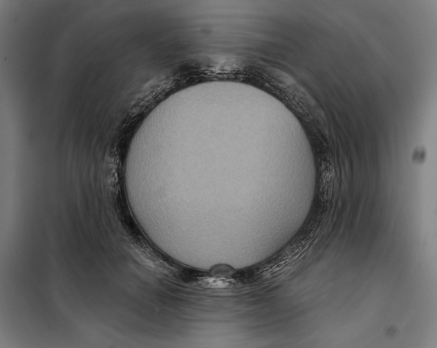 X0000097890654200804041311