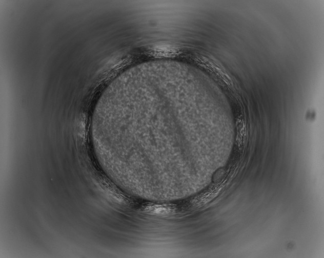 X0000097890655200804041311