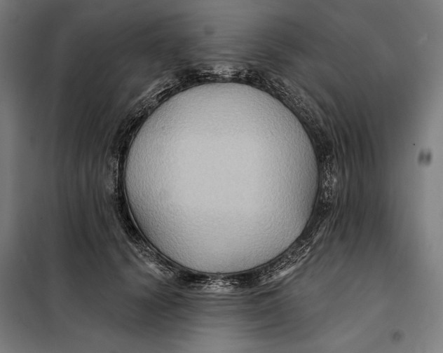 X0000097890656200804041311