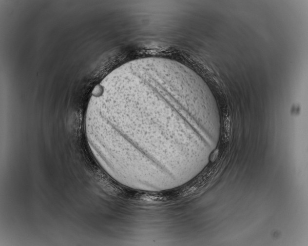 X0000097890657200804041311