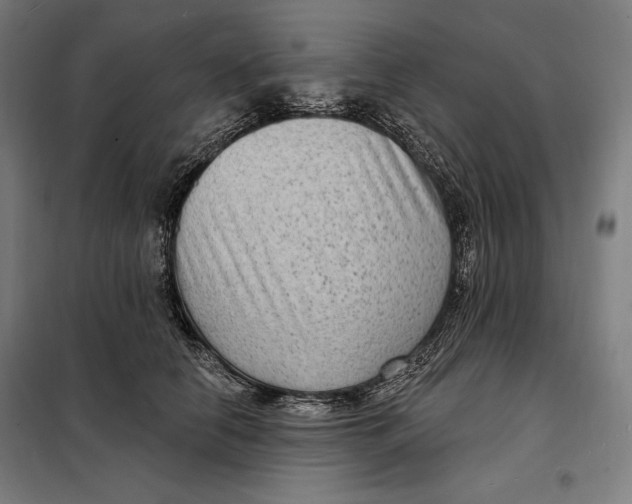 X0000097890658200804041311