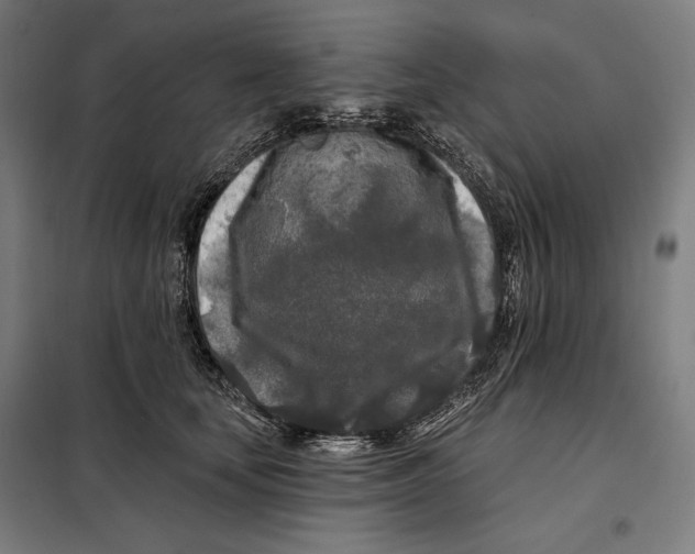 X0000097890659200804041311