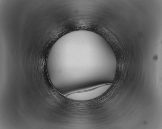 X0000097890660200804041311