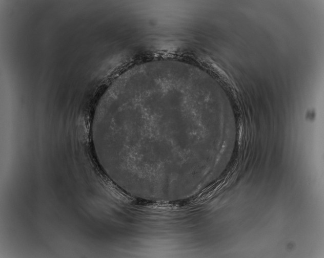 X0000097890661200804041311