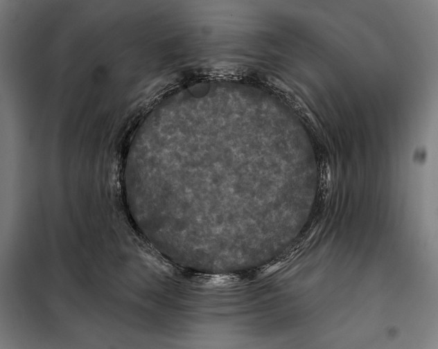 X0000097890663200804041311