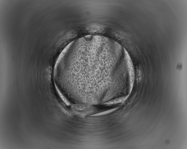 X0000097890664200804041311