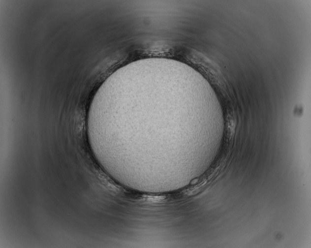 X0000097890665200804041311