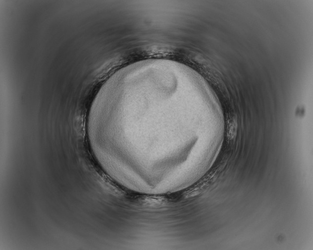 X0000097890666200804041311