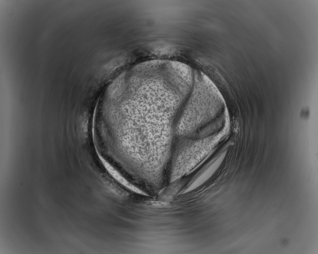 X0000097890668200804041311