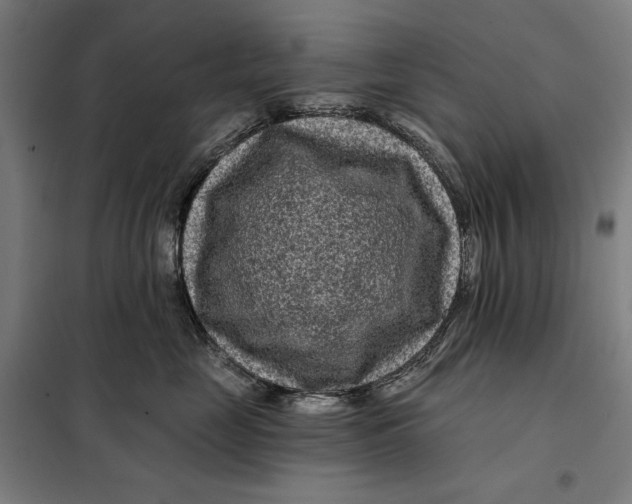 X0000097890669200804041311