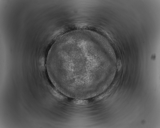 X0000097890670200804041311